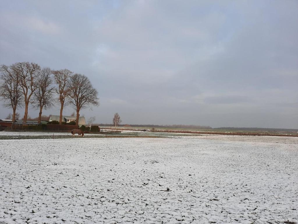 Apartment On The Island Of Poel Esterno foto